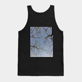 Trees leaves and sky Tank Top